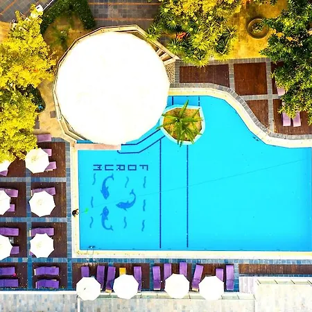 The (adults Only) Hotel 3*